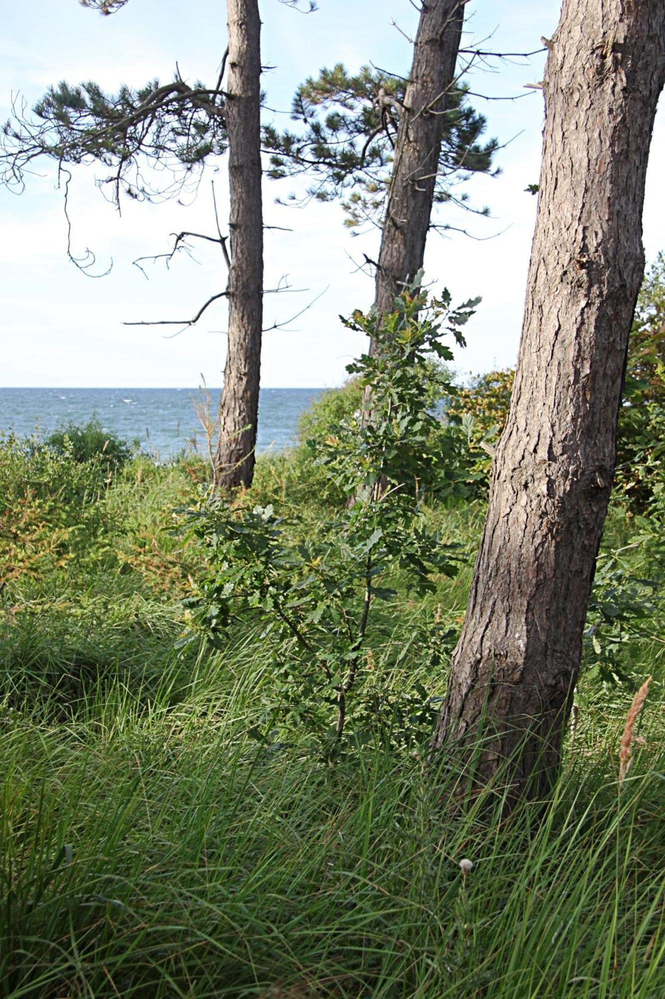 Let'S Sea - 2 Bedroom - Premium Baltic Apartment With Front Sea View Garden And Spa Access Gąski 외부 사진